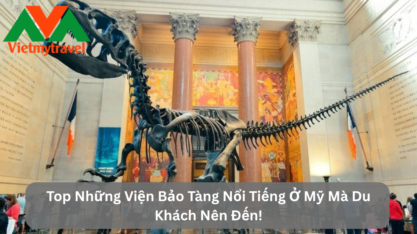 Top Những Viện Bảo Tàng Nổi Tiếng Ở Mỹ Mà Du Khách Nên Đến!