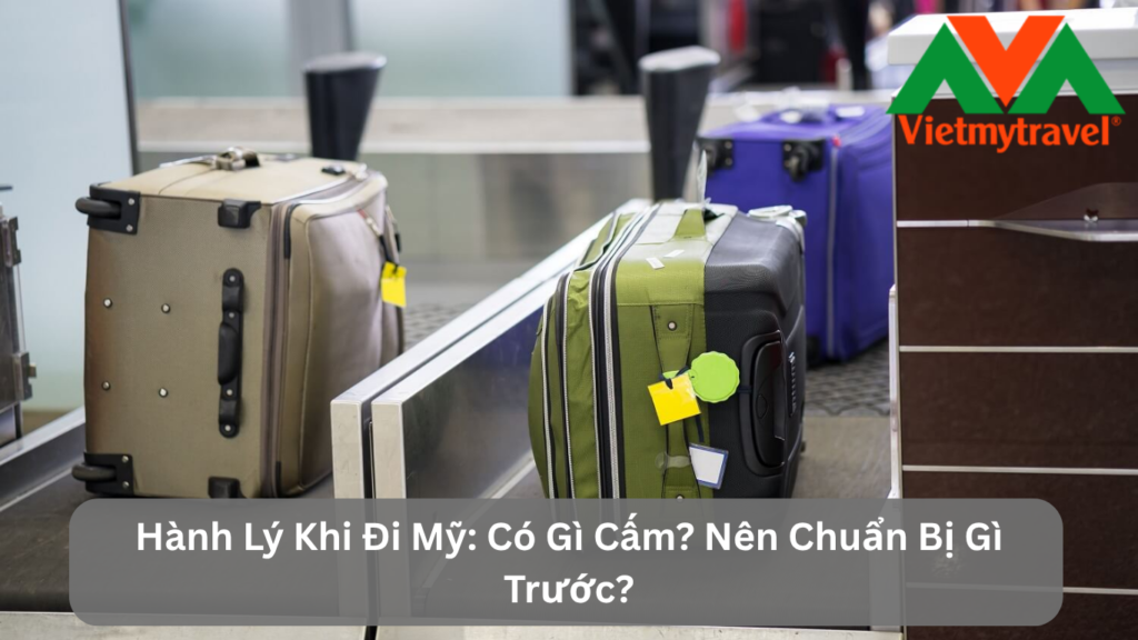 Hành Lý Khi Đi Mỹ: Có Gì Cấm? Nên Chuẩn Bị Gì Trước?