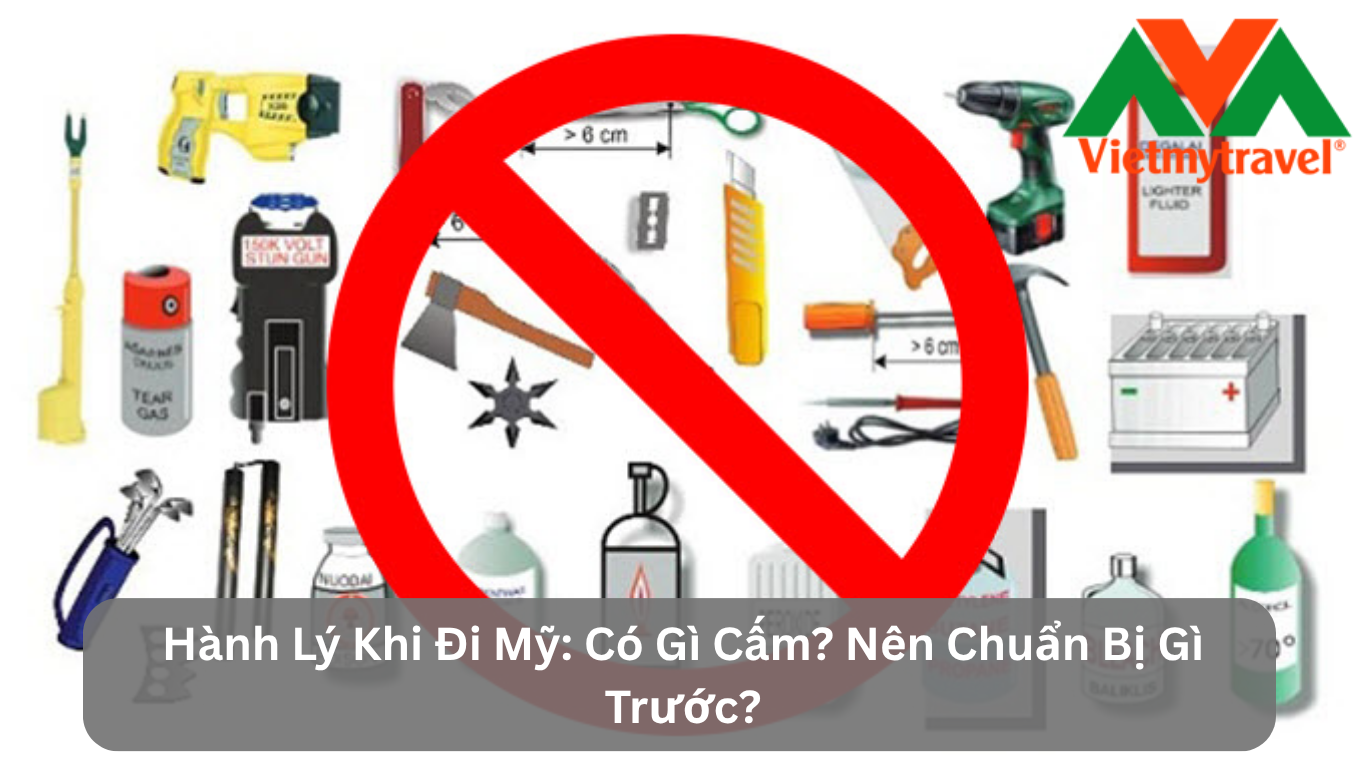 Hành Lý Khi Đi Mỹ: Có Gì Cấm? Nên Chuẩn Bị Gì Trước?