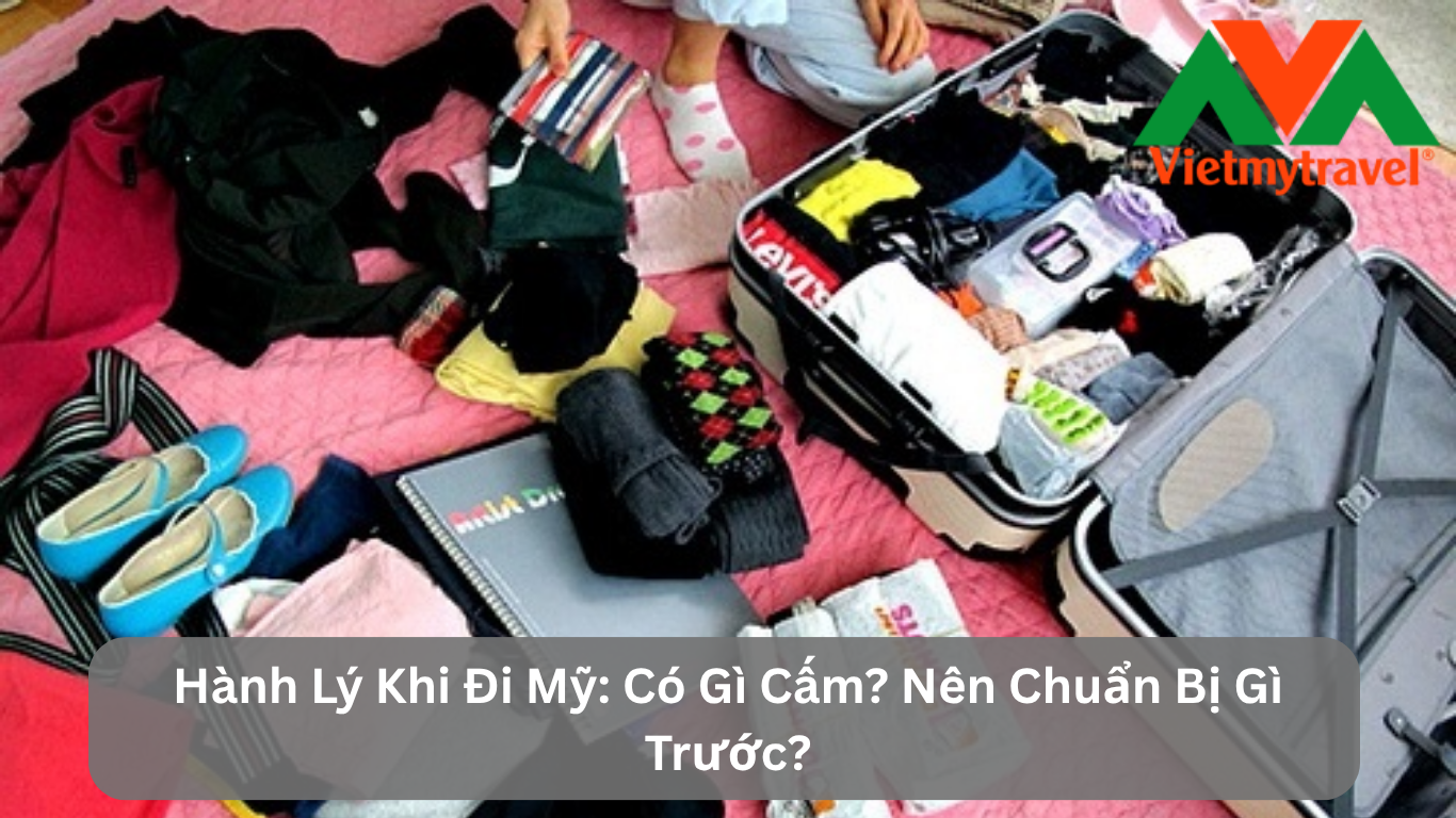 Hành Lý Khi Đi Mỹ: Có Gì Cấm? Nên Chuẩn Bị Gì Trước?