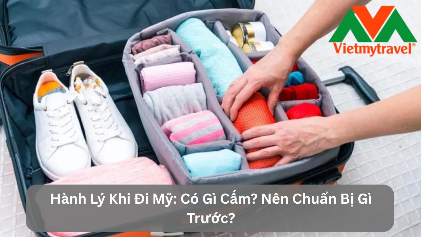 Hành Lý Khi Đi Mỹ: Có Gì Cấm? Nên Chuẩn Bị Gì Trước?