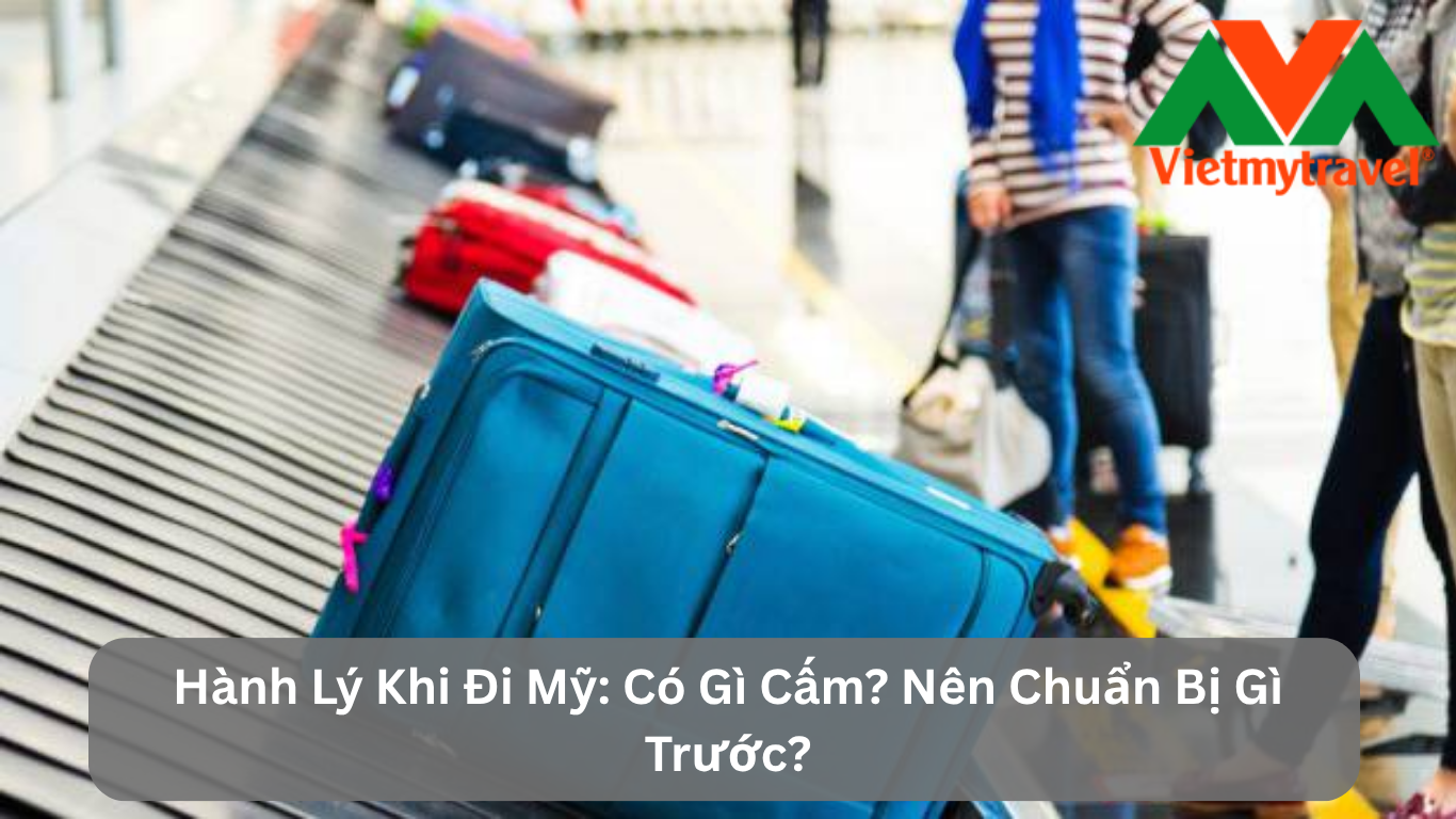 Hành Lý Khi Đi Mỹ: Có Gì Cấm? Nên Chuẩn Bị Gì Trước?