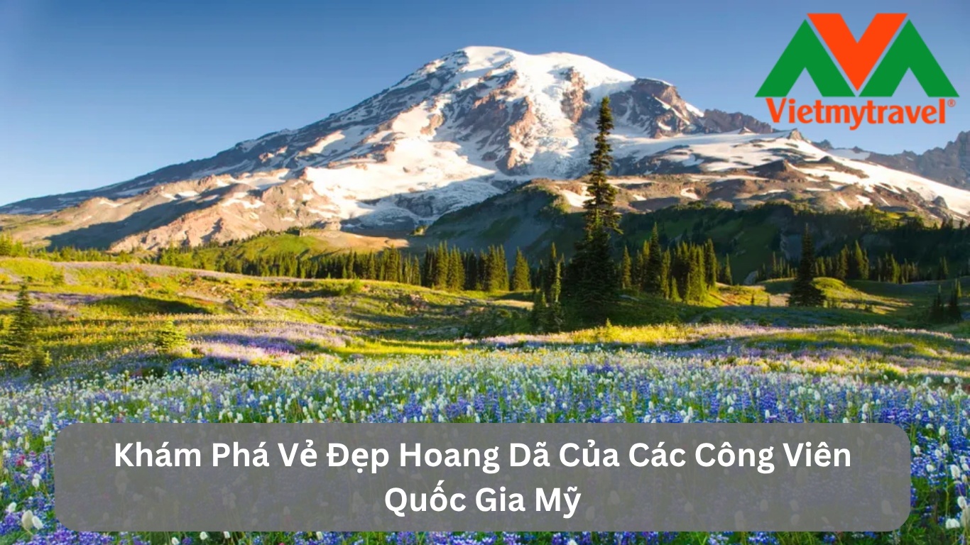 Khám Phá Vẻ Đẹp Hoang Dã Của Các Công Viên Quốc Gia Mỹ