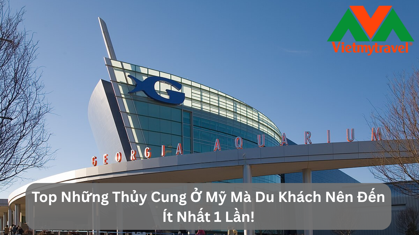 Top Những Thủy Cung Ở Mỹ Mà Du Khách Nên Đến Ít Nhất 1 Lần!