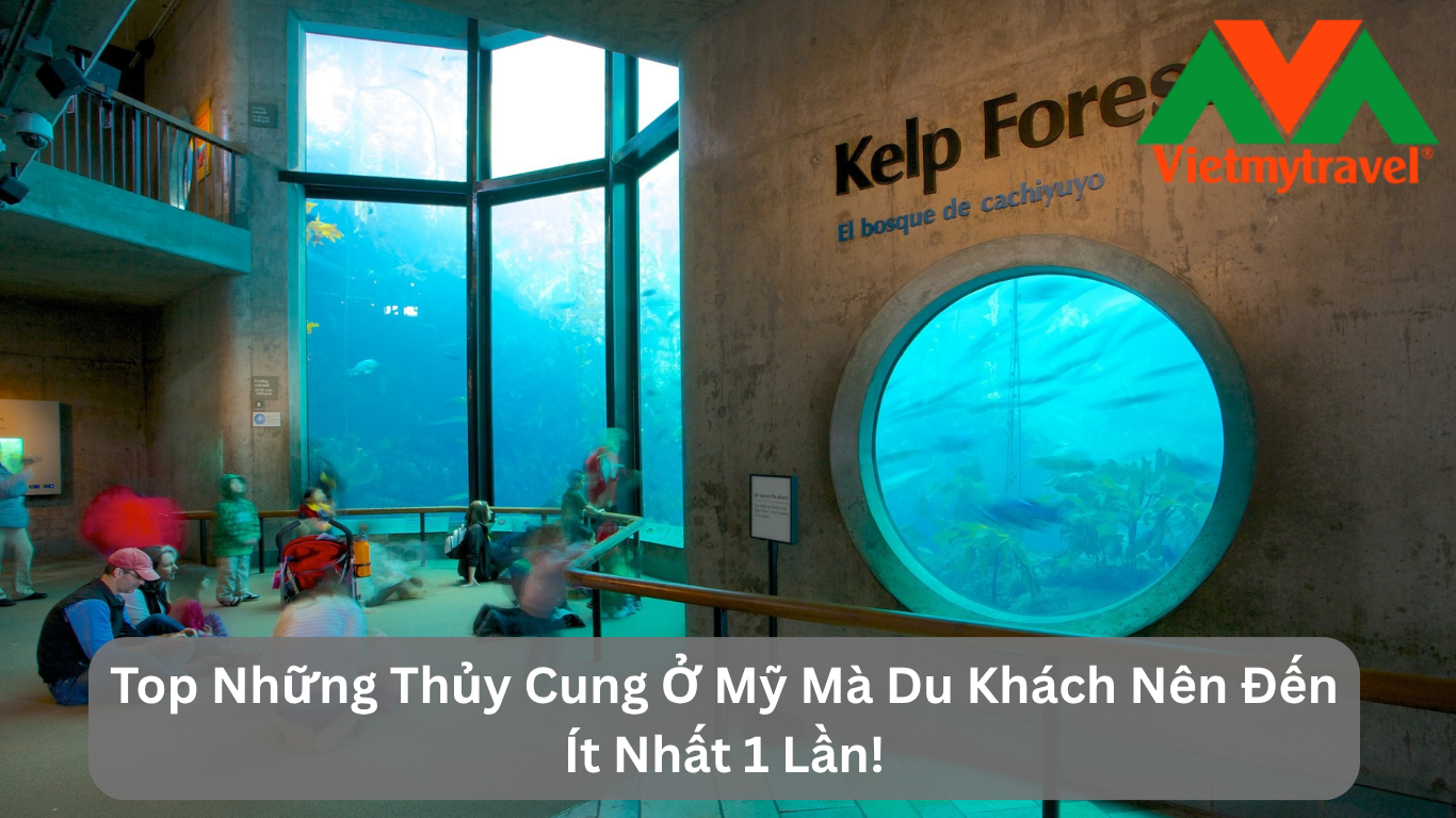 Top Những Thủy Cung Ở Mỹ Mà Du Khách Nên Đến Ít Nhất 1 Lần!