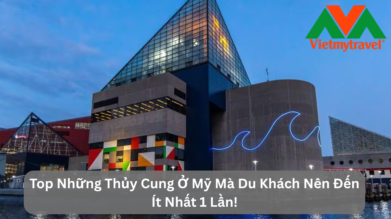 Top Những Thủy Cung Ở Mỹ Mà Du Khách Nên Đến Ít Nhất 1 Lần!