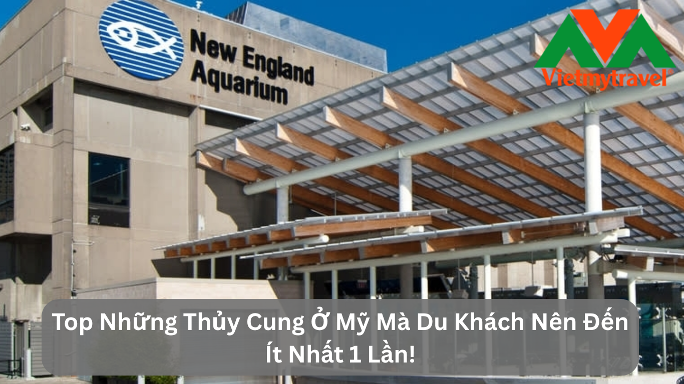 Top Những Thủy Cung Ở Mỹ Mà Du Khách Nên Đến Ít Nhất 1 Lần!