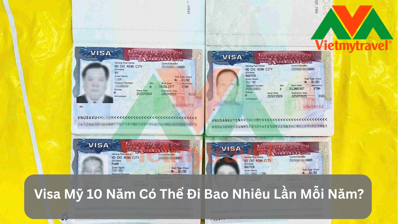 Visa Mỹ 10 Năm Có Thể Đi Bao Nhiêu Lần Mỗi Năm?