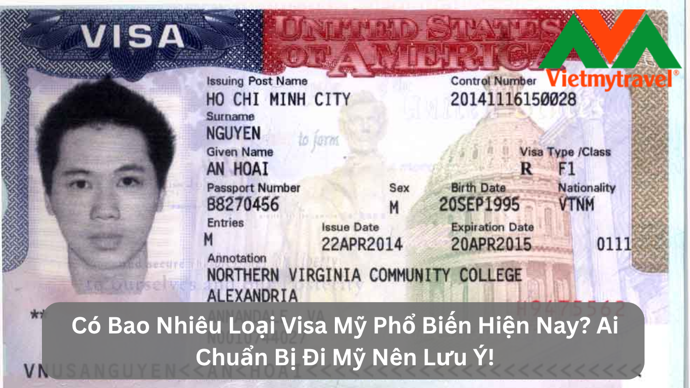 Có Bao Nhiêu Loại Visa Mỹ Phổ Biến Hiện Nay? Ai Chuẩn Bị Đi Mỹ Nên Lưu Ý!