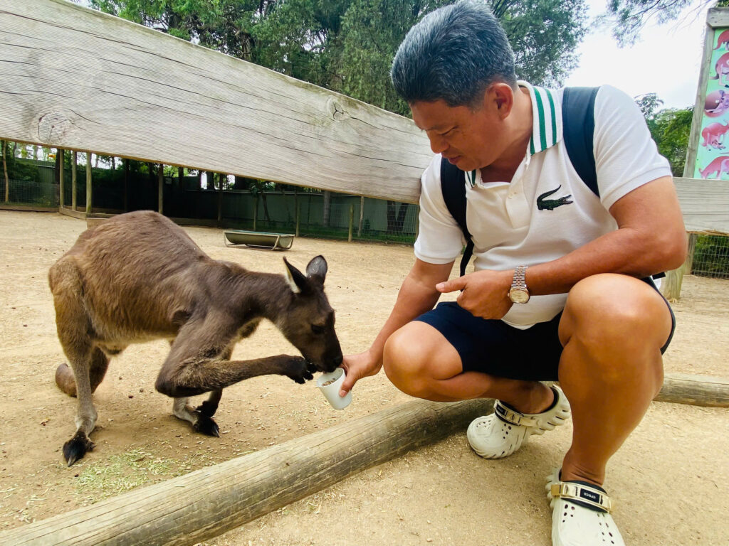 Khách Hàng Vietmytravel chơi cùng kanguru