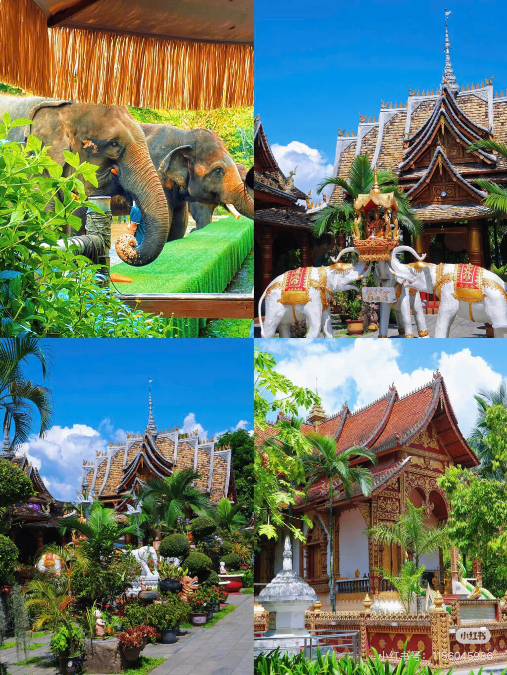 Tour Tây Song Bản Nạp