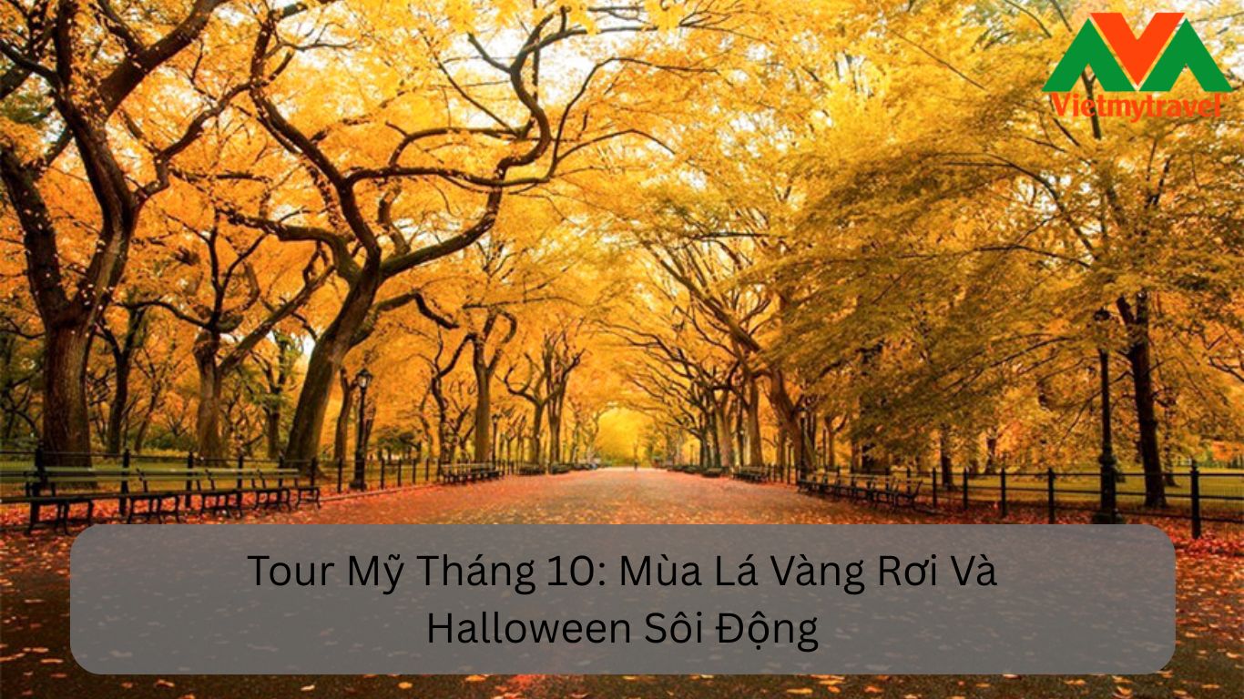 Tour Du Lịch Mỹ Tháng 10: Chạm Vào Giấc Mơ Lá Vàng Và Halloween Sôi Động