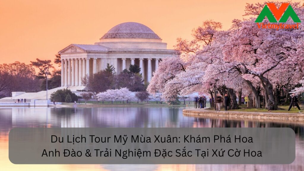 Du Lịch Tour Mỹ Mùa Xuân: Khám Phá Hoa Anh Đào & Trải Nghiệm Đặc Sắc Tại Xứ Cờ Hoa