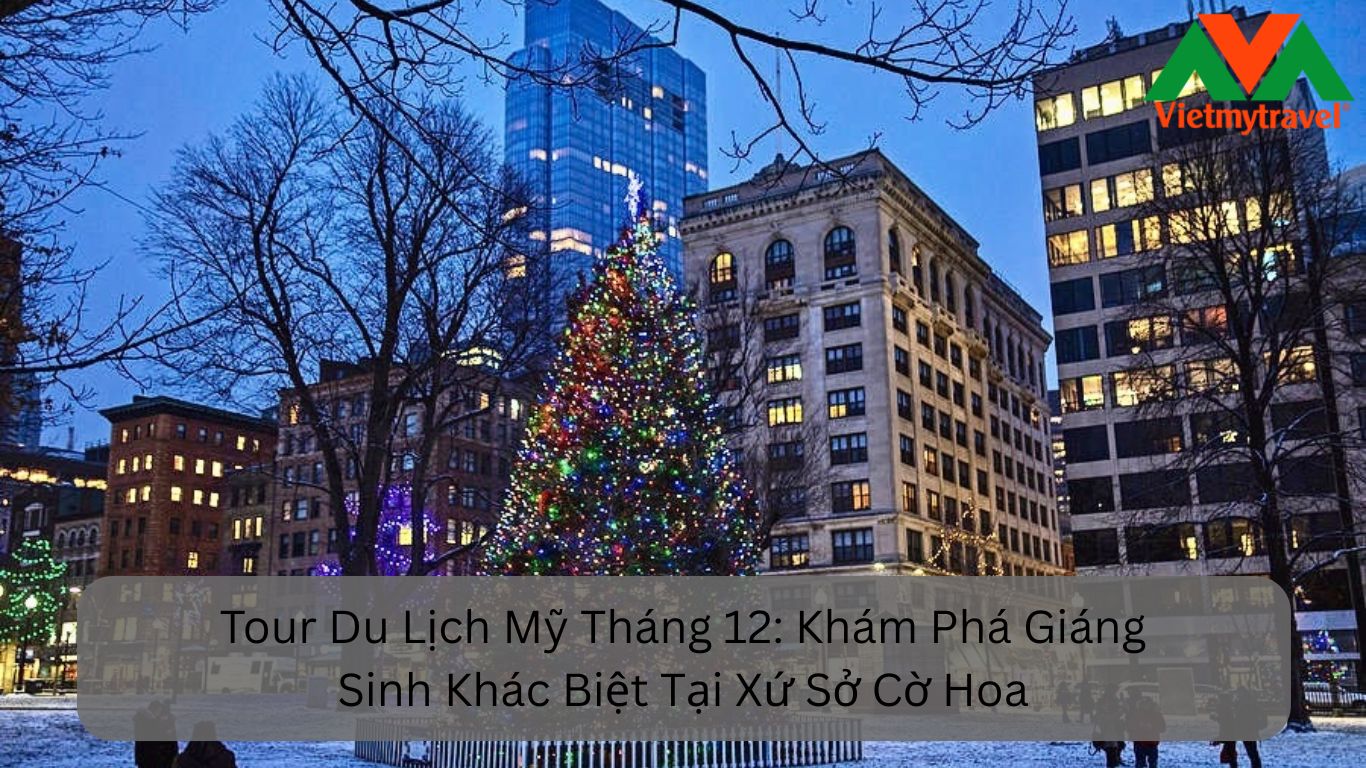 Tour Du Lịch Mỹ Tháng 12 Khám Phá Giáng Sinh Khác Biệt Tại Xứ Sở Cờ Hoa
