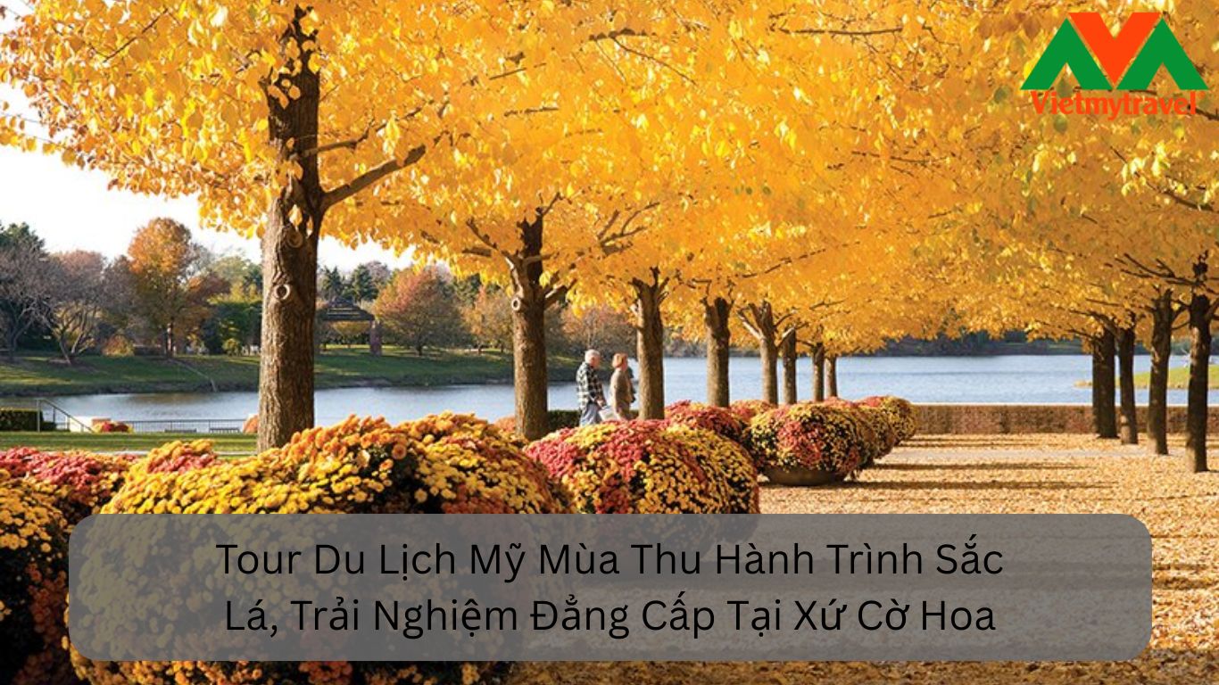 Tour Du Lịch Mỹ Mùa Thu Hành Trình Sắc Lá, Trải Nghiệm Đẳng Cấp Tại Xứ Cờ Hoa