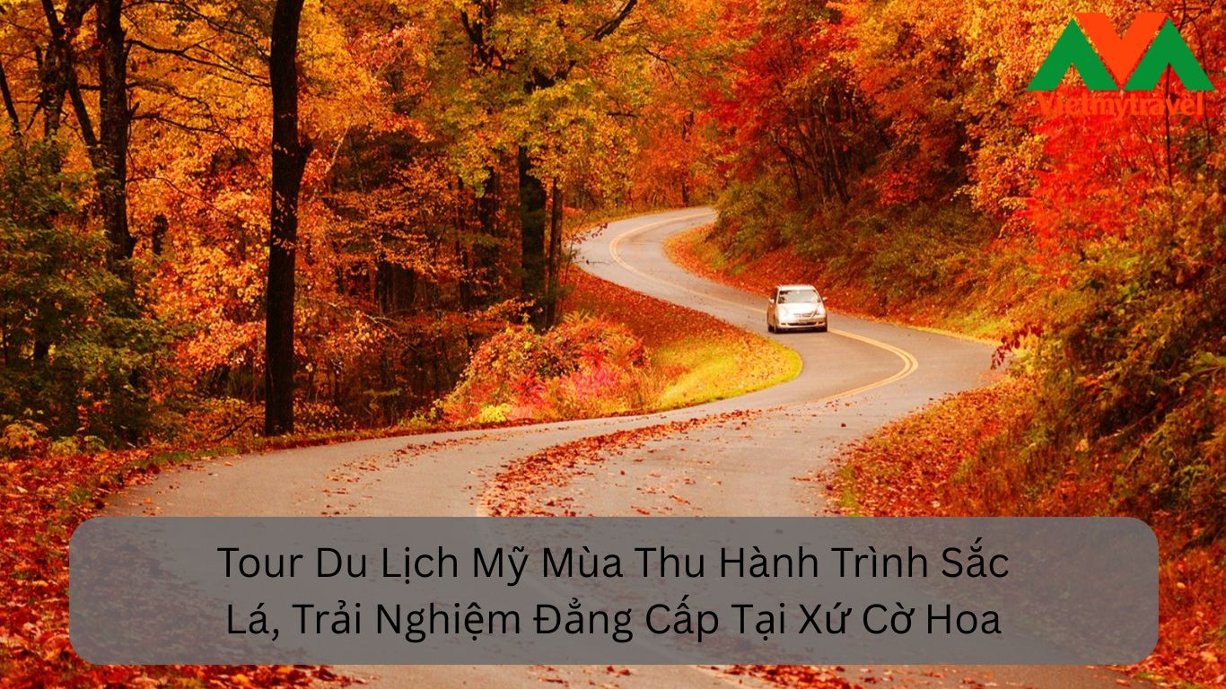 Tour Du Lịch Mỹ Mùa Thu Hành Trình Sắc Lá, Trải Nghiệm Đẳng Cấp Tại Xứ Cờ Hoa